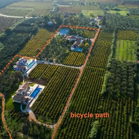 Aneli Luxury Villas-villa Elissavet * Айос-Кирикос