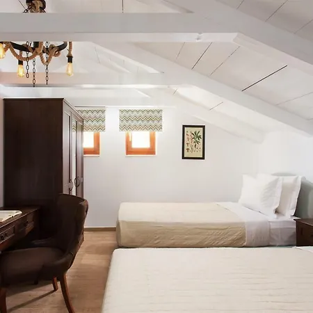 Aneli Luxury Villas-villa Elissavet Willa *