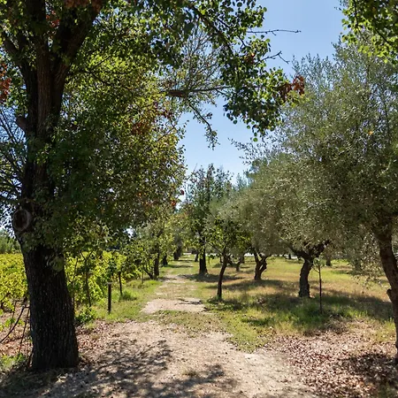 Aneli Luxury Villas-villa Elissavet Villa *