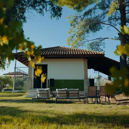 Aneli Luxury Villas-villa Elissavet Villa Agios Kirikos (Zakynthos)