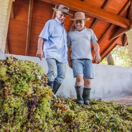 Willa Aneli Luxury Villas-villa Elissavet *