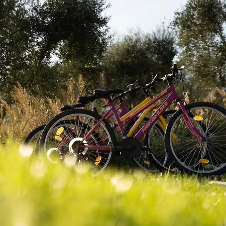 Aneli Luxury Villas-villa Elissavet * Áyios Kírikos