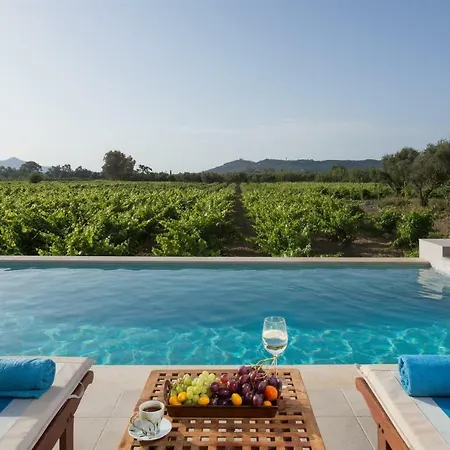 Aneli Luxury Villas-villa Elissavet * Áyios Kírikos