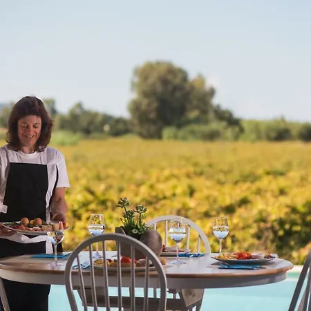 فيلة Aneli Luxury Villas-villa Elissavet *